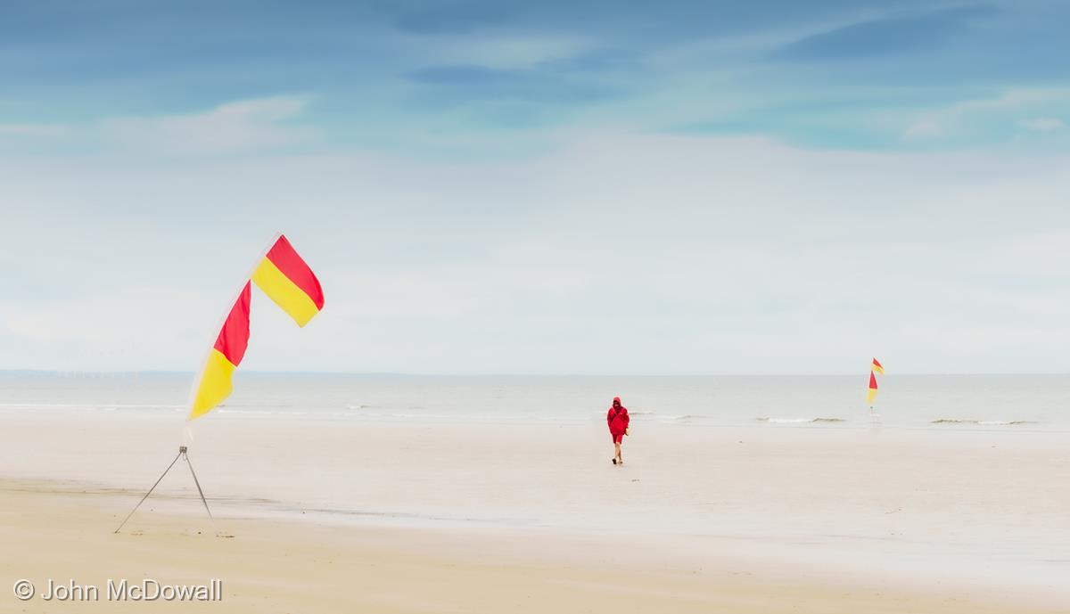 The Lifeguard by John McDowall