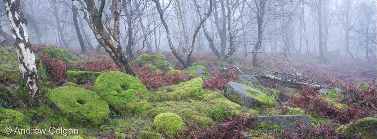 Bolehill Quarry by Andrew Colgan