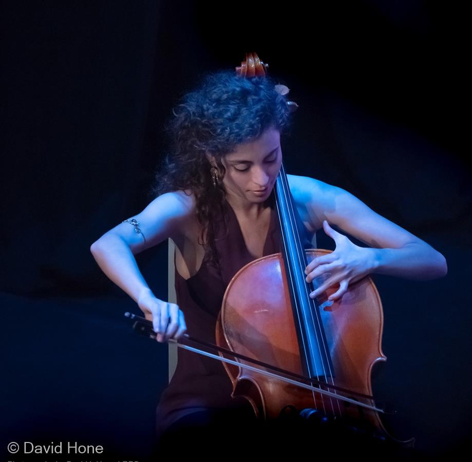 Cello Player by David Hone