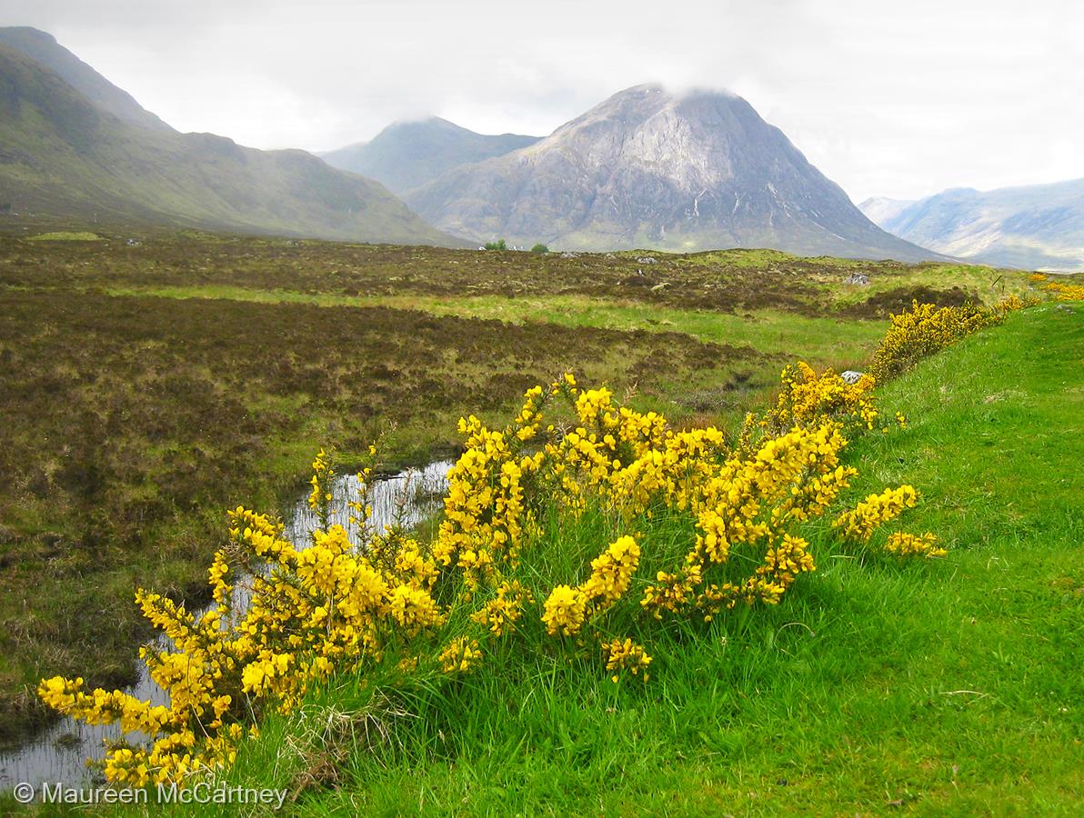 Approach Glen Coe by Maureen McCartney