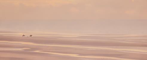 Evening on the Beach
