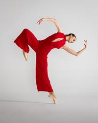 Crimson Suspension
