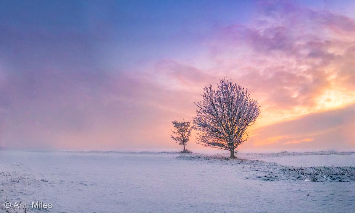 Sunset at Trowell, Nottinghamshire by Ann Miles