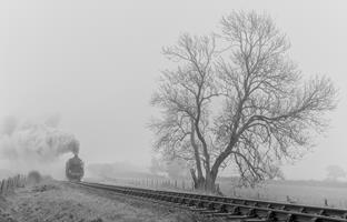 Out of the Mist