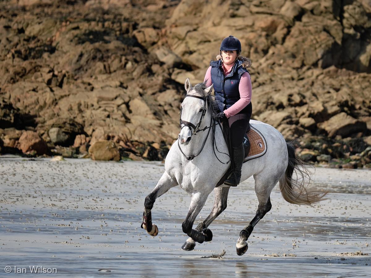 Morning Gallop, Cobo Beach by Ian Wilson