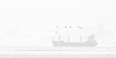 Flypast