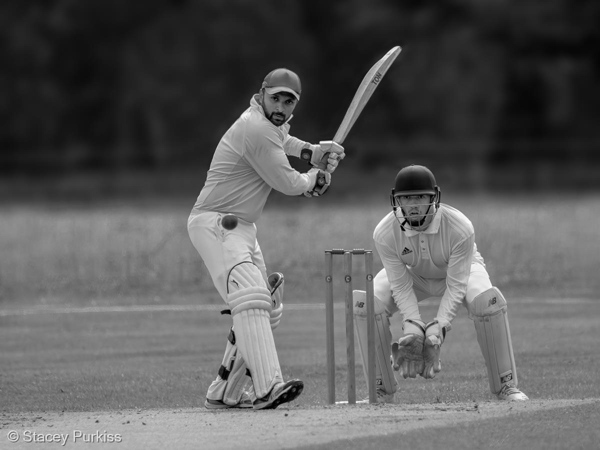 All Eyes on the Ball by Stacey Purkiss