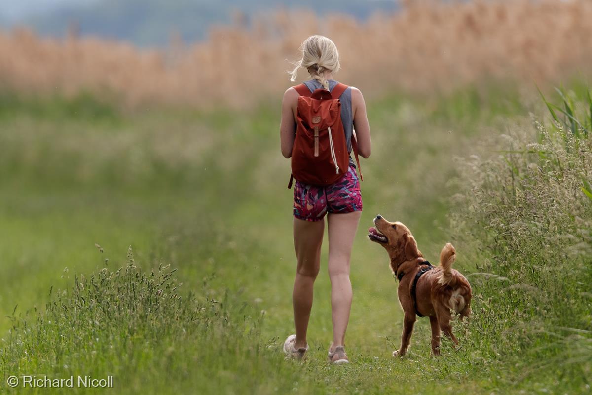 A Dog's Best Friend by Richard Nicoll