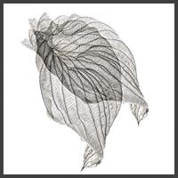Delicate Structure