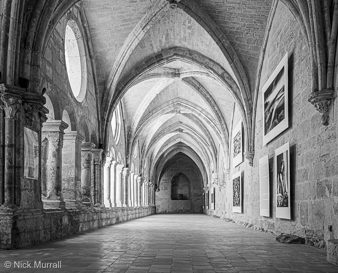 Abbaye de Valmagne by Nick Murrall
