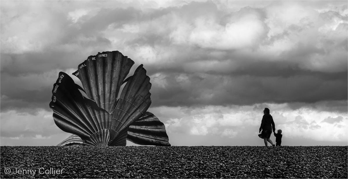 Look at the Lovely Shell by Jenny Collier