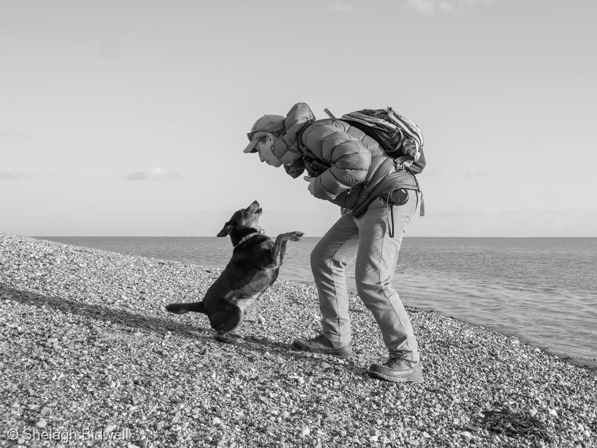 One Man and His Dog by Shelagh Bidwell