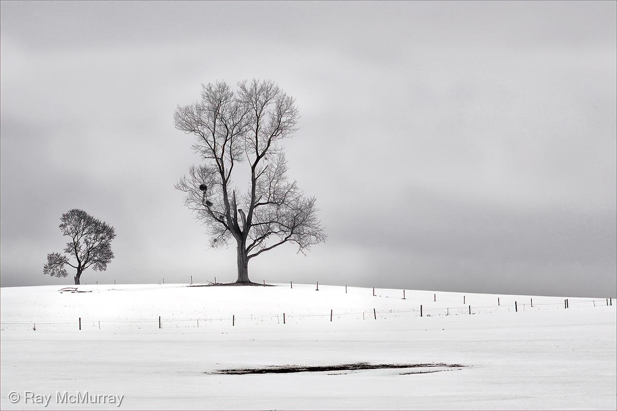 Bavarian Winter by Ray McMurray