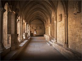 In the Cloister of St Trophime, Arles