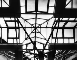 Lion Yard Roof