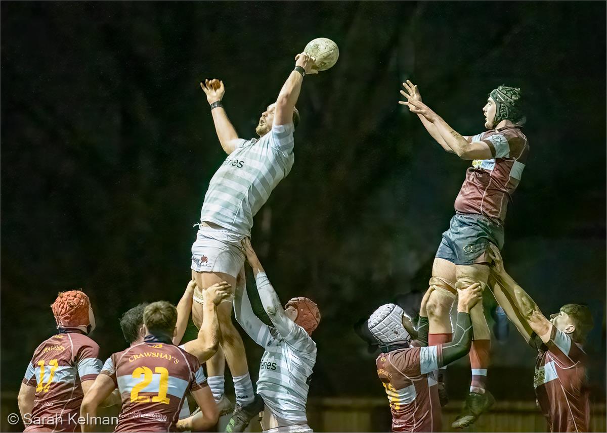 The Lineout by Sarah Kelman