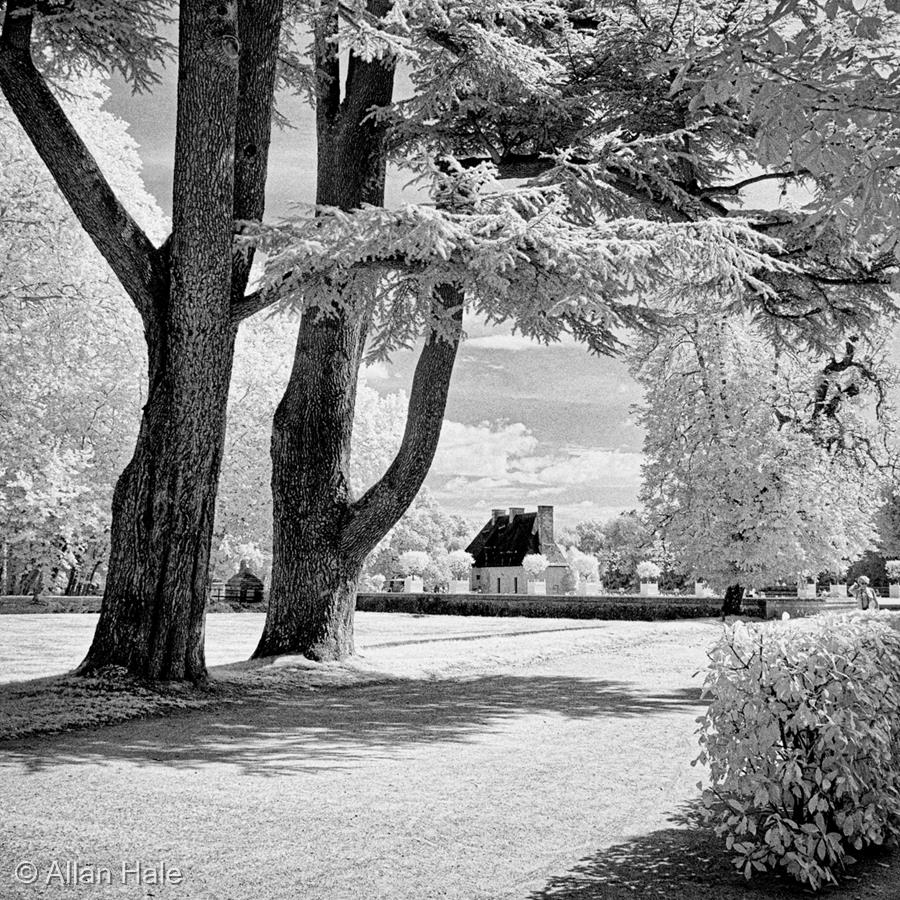 Jardin de Chenonceaux by Allan Hale