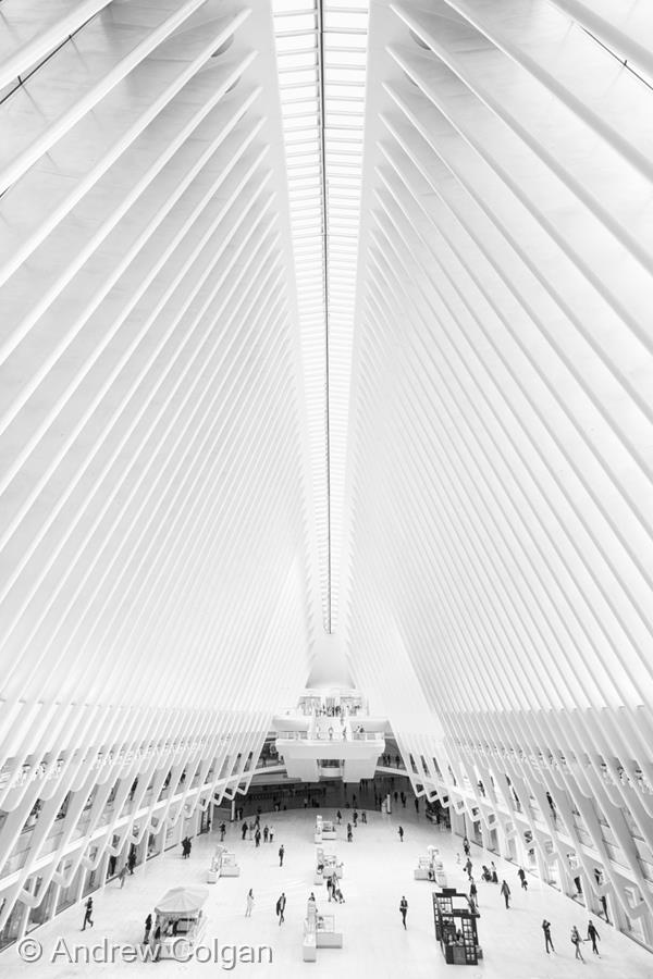 The Oculus by Andrew Colgan