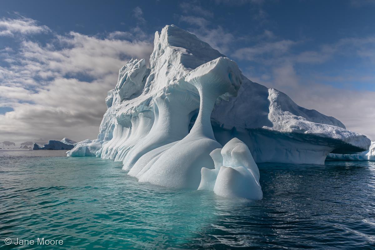 Iceberg Architecture by Jane Moore