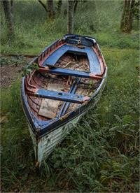 High and Dry