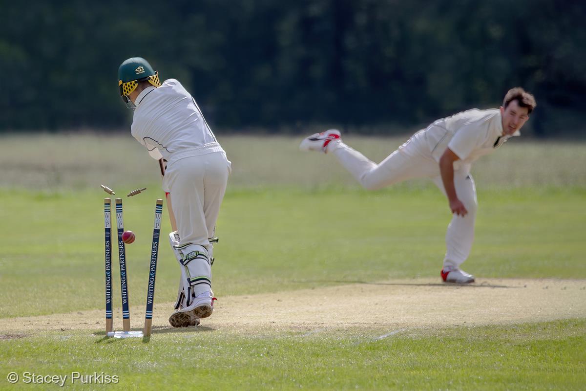 Clean Bowled by Stacey Purkiss