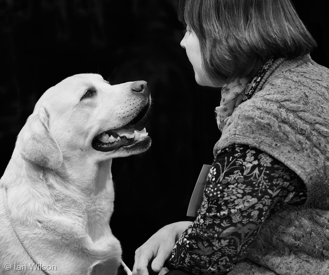 Woman's Best Friend by Ian Wilson