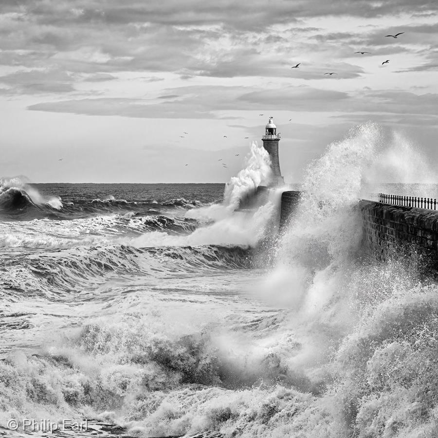 Battered but Standing Firm by Philip Earl