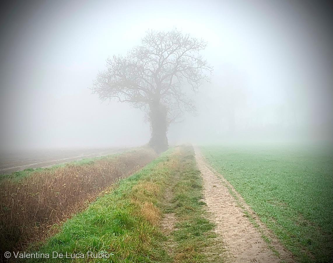 Colours of Silence by Valentina De Luca Rubio