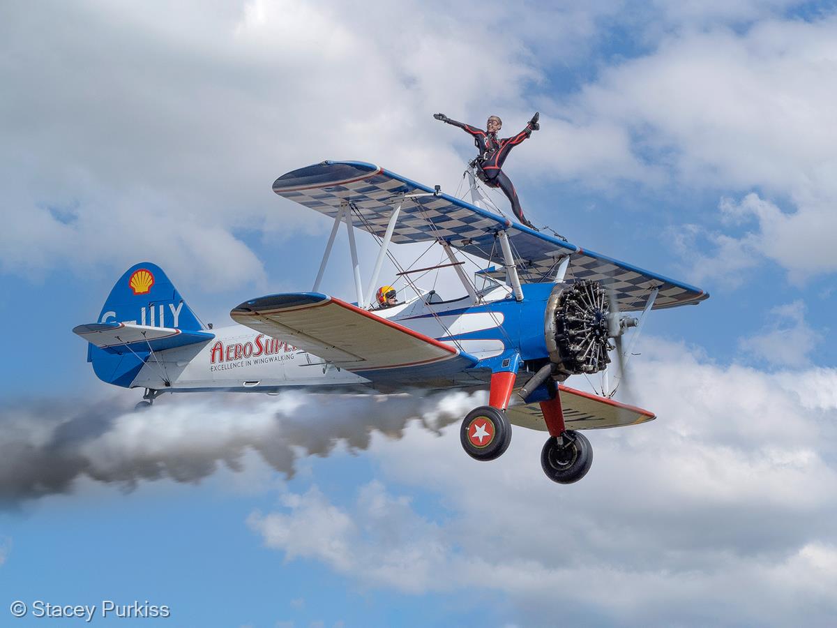 Wing Walking by Stacey Purkiss