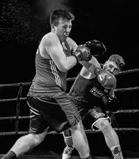 The Last Punch