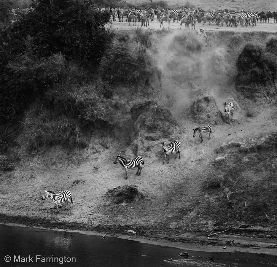 Advance Party, Mara River Crossing by Mark Farrington