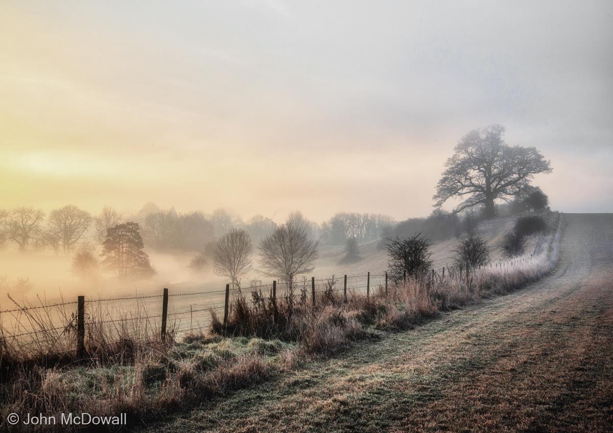 First Light by John McDowall