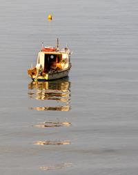 Evening Tranquillity