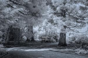 A Walk in Anglesey Abbey