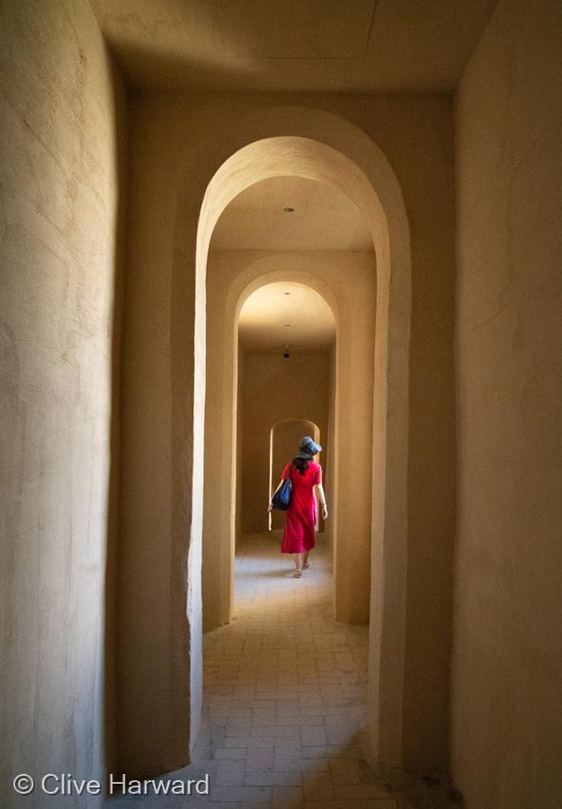 Lady in Red Dress by Clive Harward