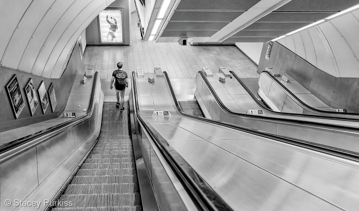 Going Underground by Stacey Purkiss