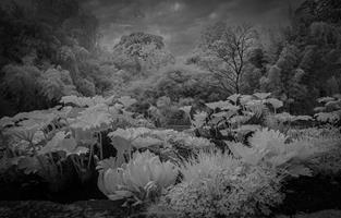 Botanical Gardens