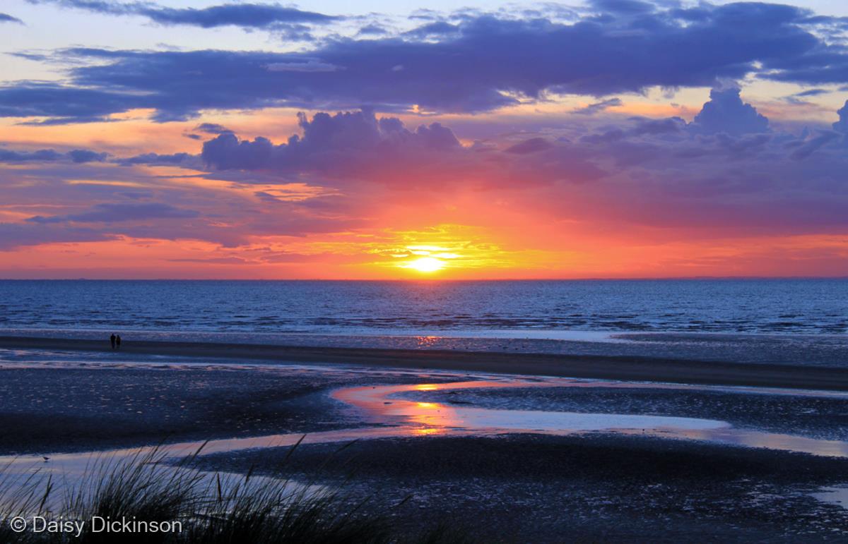 Evening Colour of August by Daisy Dickinson