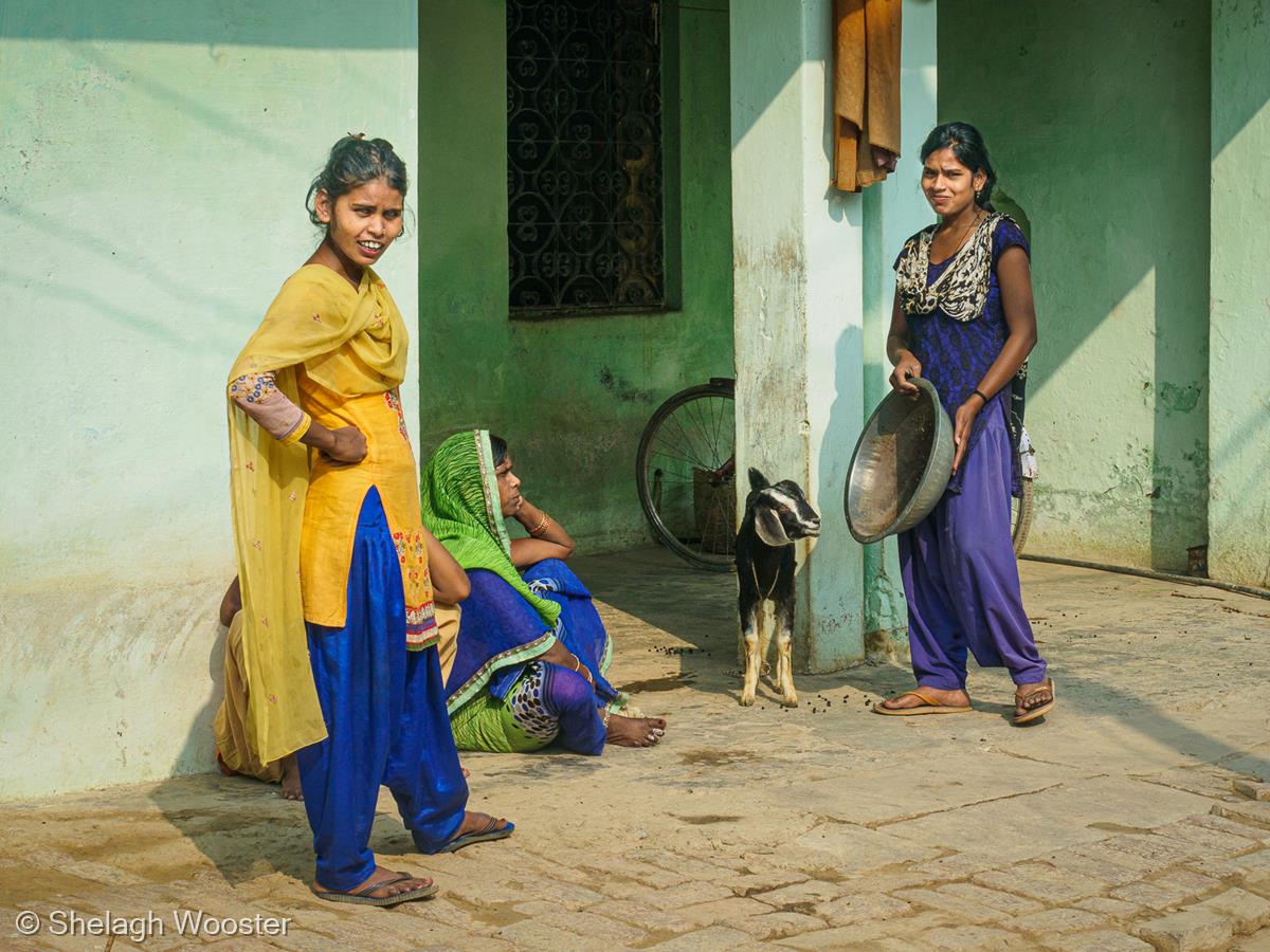 Life in the Village of Sarai Mohana, India by Shelagh Wooster
