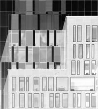 Shapes in the City
