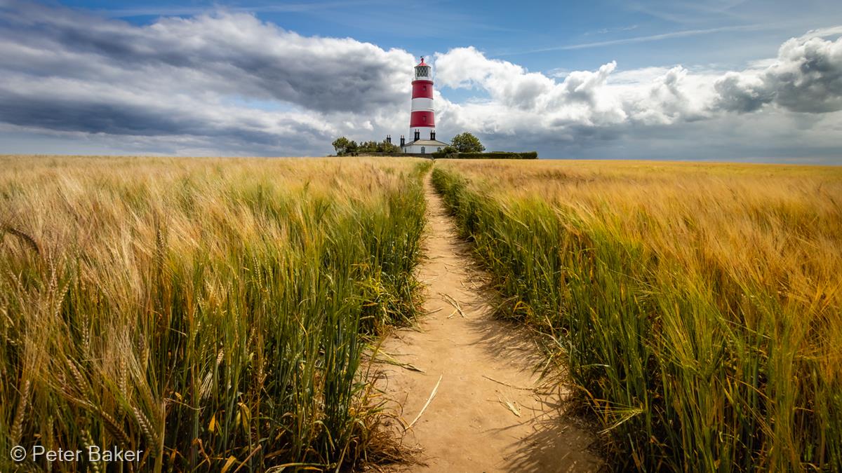 Path to the Lighthouse by Peter Baker