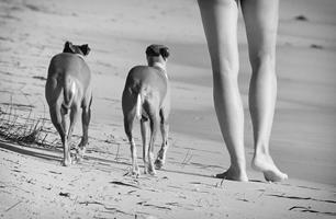 Ten Legs