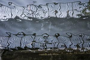 Refections in Byron's Pool
