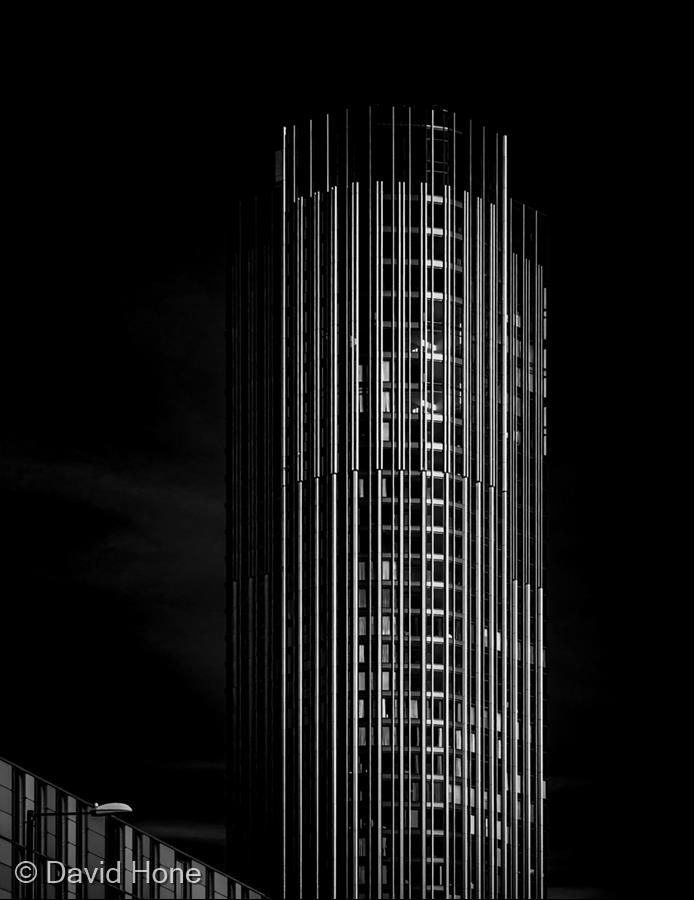 The Dark Tower by David Hone