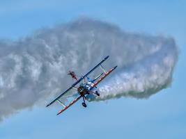 Wing Walker