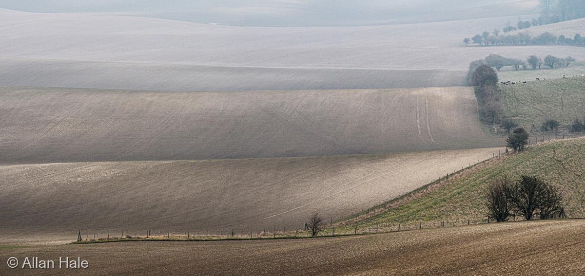 Winter's Day at Therfield by Allan Hale