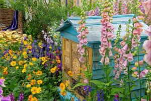 Oakington Garden Centre - Cambridge Botanic Chelsea Entry